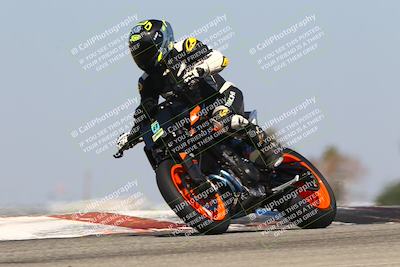 media/Oct-06-2025-2WTD (Mon) [[90522c3a0b]]/B Group/1120am (Grapevine)/